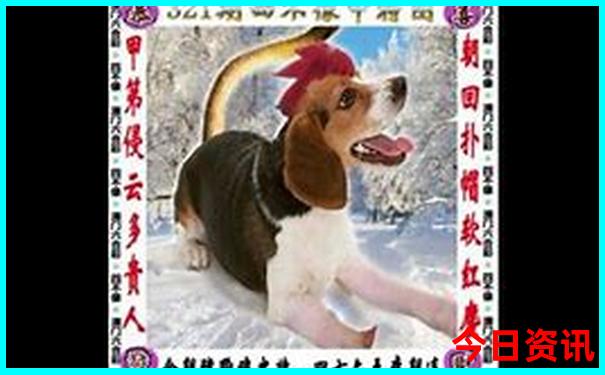 黑山谷景区景点介绍